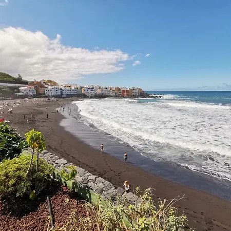 公寓 Homelike Cozy Studio Puerto De La Cruz & Pool *