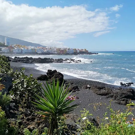 公寓 Homelike Cozy Studio Puerto De La Cruz & Pool *