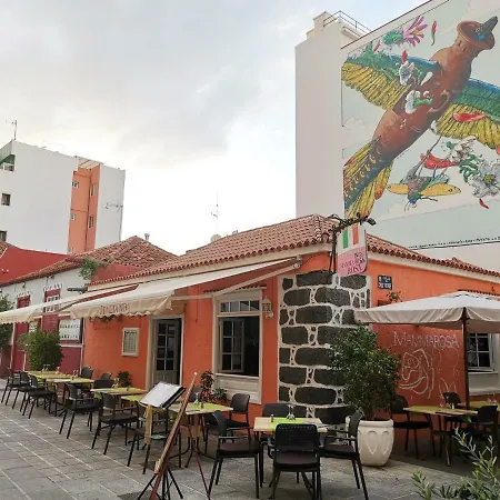 Homelike Cozy Studio Puerto De La Cruz & Pool 公寓 *
